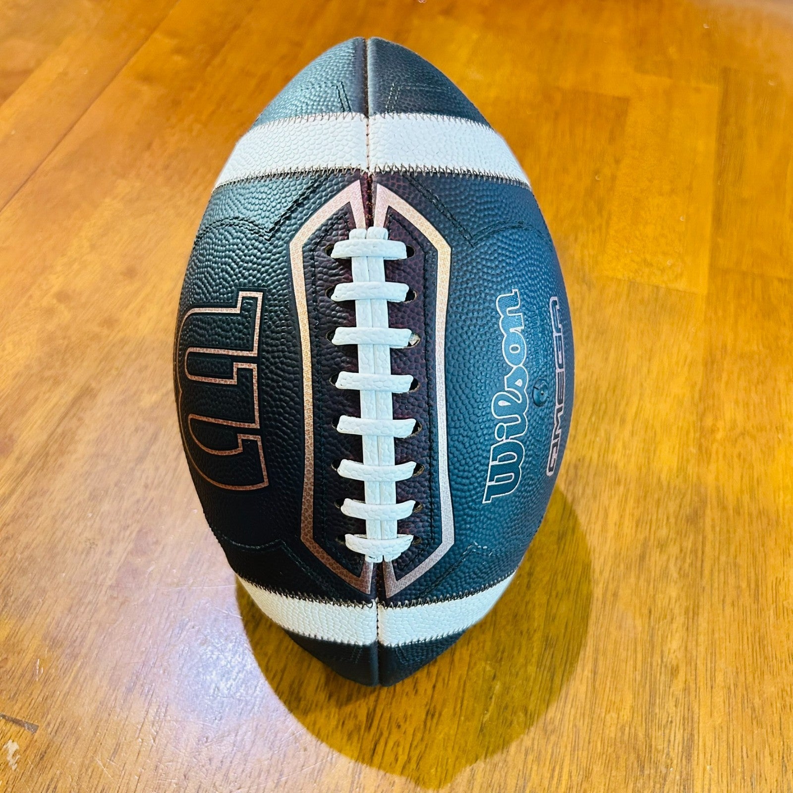 Wilson Omega New and Fully Game Prepped Leather Football NFHS / NCAA Size - NEW